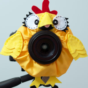 Chicken Camera Puppet Child Photography Prop